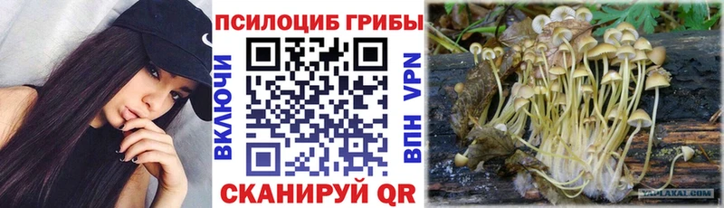Галлюциногенные грибы Magic Shrooms  Гремячинск 